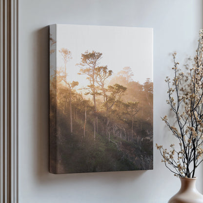 Coastal Trees Print | Coastal Trees Canvas | 17 Mile