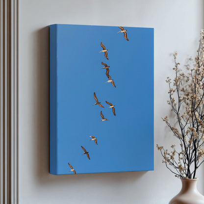 Flying Birds Canvas | Flying Birds Print | 17 Mile
