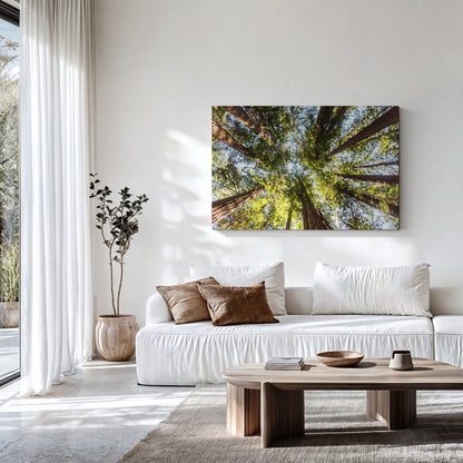 Redwood Forest Print | Muir Woods Canvas | 17 Mile