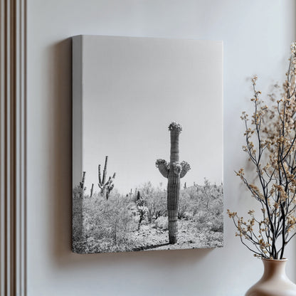 Saguaro Cactus print | Saguaro Cactus canvas | 17 Mile