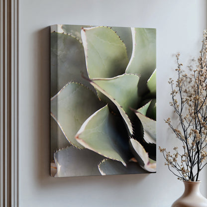 Desert Succulent Canvas | Desert Succulent Print | 17 Mile