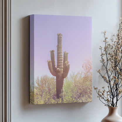 Pastel Saguaro Canvas | Pastel Saguaro Print | 17 Mile