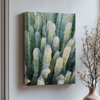 Desert Succulent Print | Desert Succulent Canvas | 17 Mile