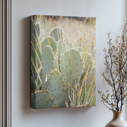 Prickly Pear Cactus Canvas | Prickly Pear Cactus Print | 17 Mile