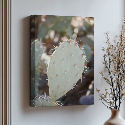 Prickly Pear Canvas | Cactus Wall Art | 17 Mile