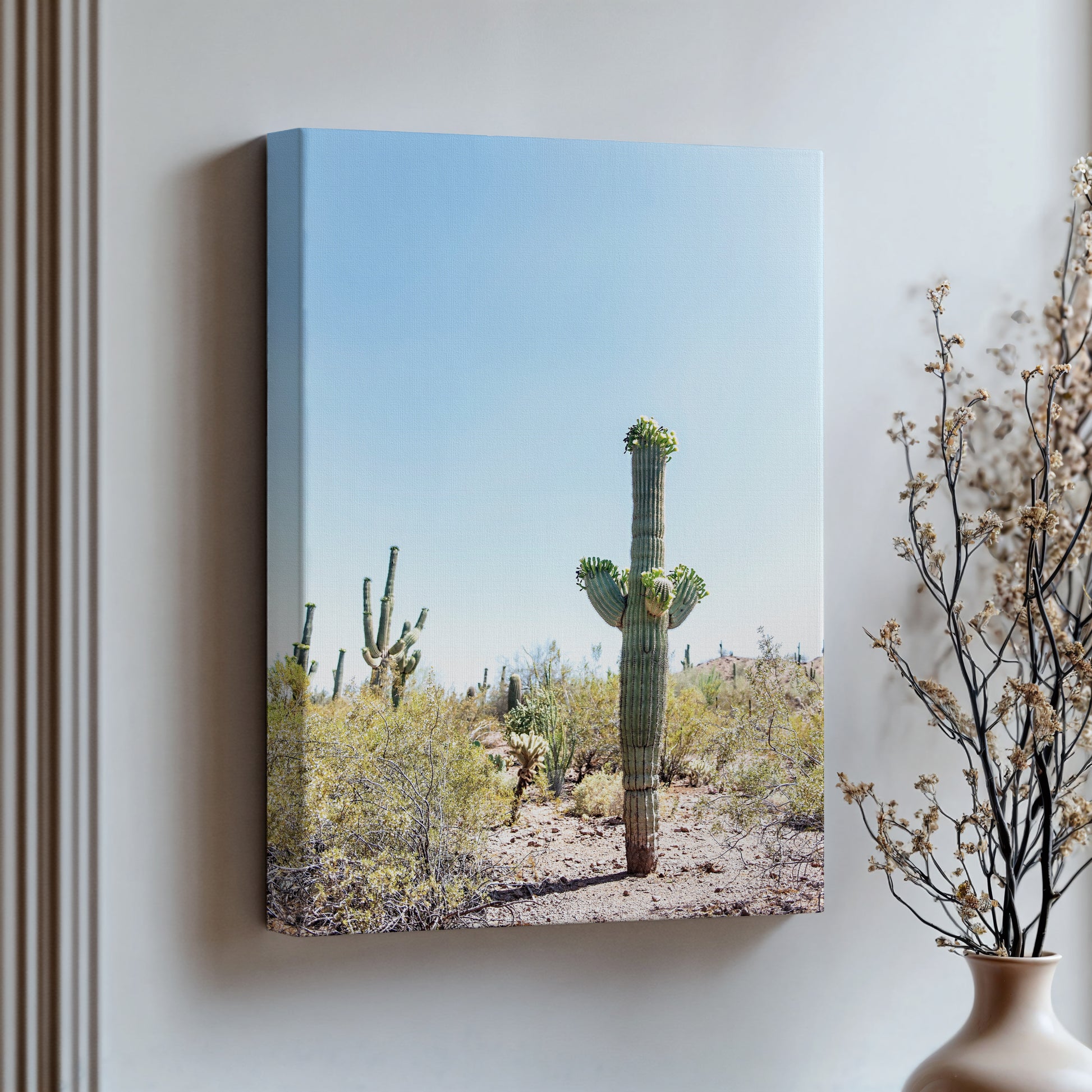Saguaro Cactus Print | Saguaro Cactus Canvas | 17 Mile