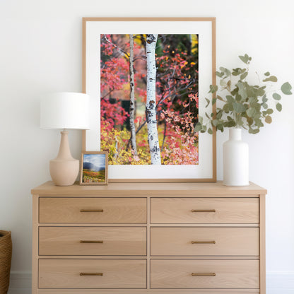 Fall Aspen Trees Print | Utah Fall Photography | 17 Mile