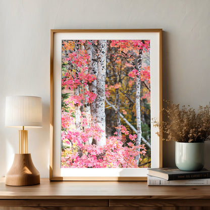 Red Autumn Aspen Trees Print | Utah Fall Photography | 17 Mile