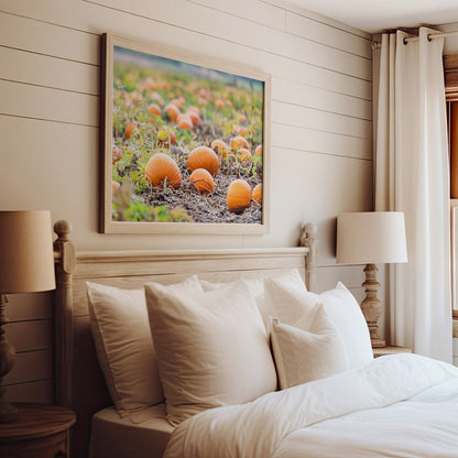 Autumn Pumpkin Patch Print | Utah Fall Photography | 17 Mile