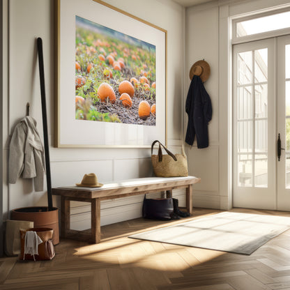 Autumn Pumpkin Patch Print | Utah Fall Photography | 17 Mile