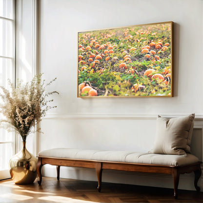 Pumpkin Patch Harvest Print | Utah Fall Photography | 17 Mile