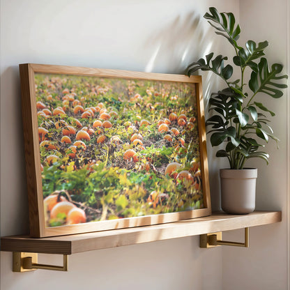 Pumpkin Patch Harvest Print | Utah Fall Photography | 17 Mile