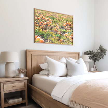 Pumpkin Patch Harvest Print | Utah Fall Photography | 17 Mile