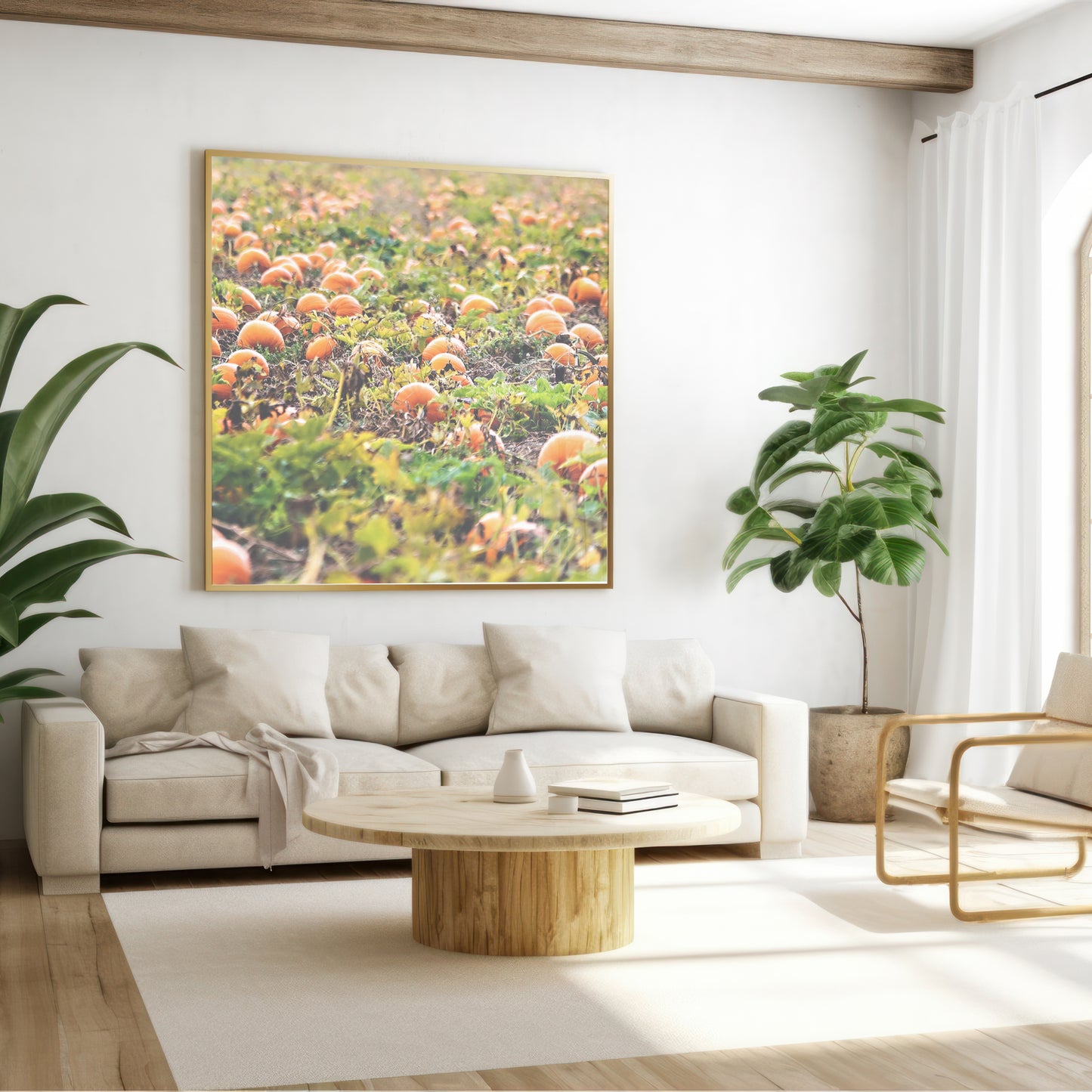 Pumpkin Patch Harvest Print | Utah Fall Photography | 17 Mile