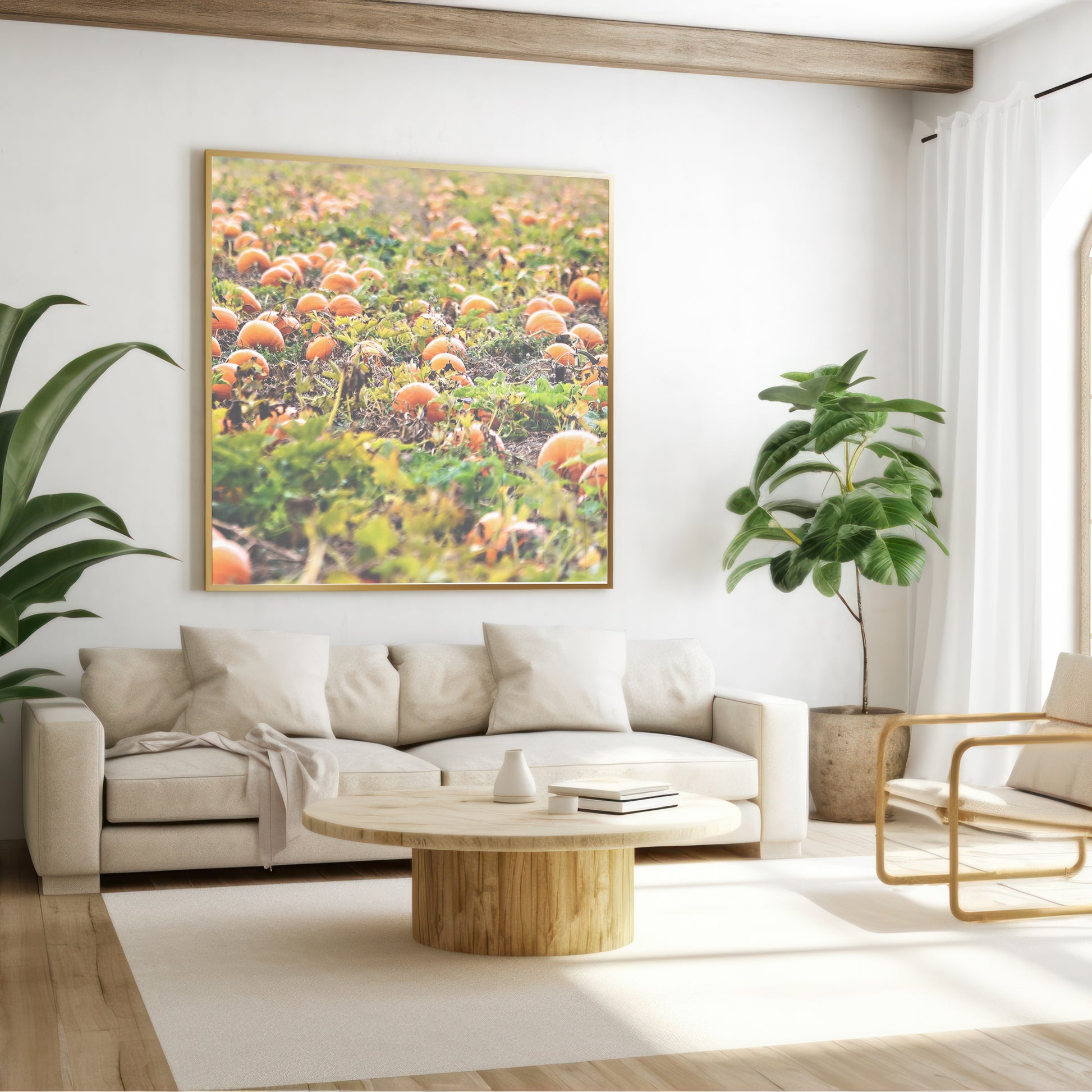 Pumpkin Patch Harvest Print | Utah Fall Photography | 17 Mile