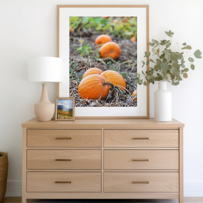 Cozy Fall Pumpkin Patch Print | Utah Fall Photography | 17 Mile