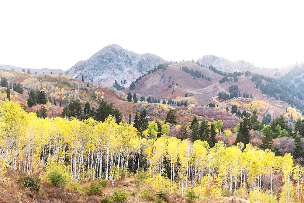 Utah Autumn Mountain Print | Fall Landscape Photography | 17 Mile