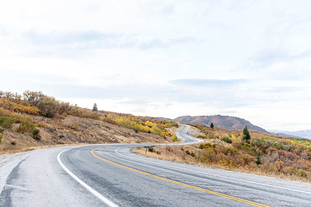 Fall Road Print | Autumn Landscape Wall Art | 17 Mile