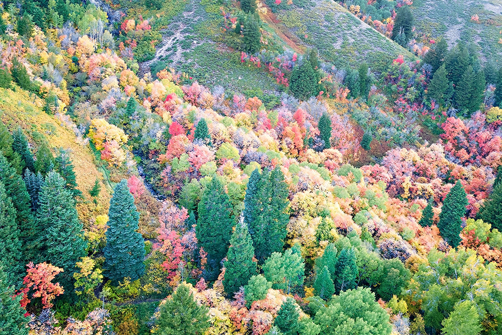 Fall Aerial Mountain Print | Utah Nature Photography | 17 Mile