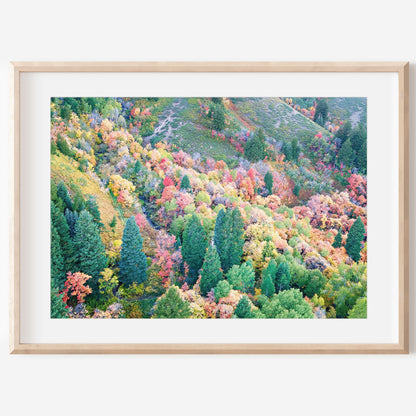 Fall Aerial Mountain Print | Utah Nature Photography | 17 Mile