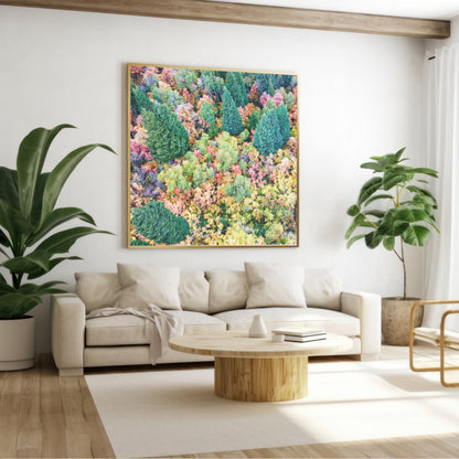 Fall Aerial Pine Tree Print | Autumn Forest Wall Art | 17 Mile