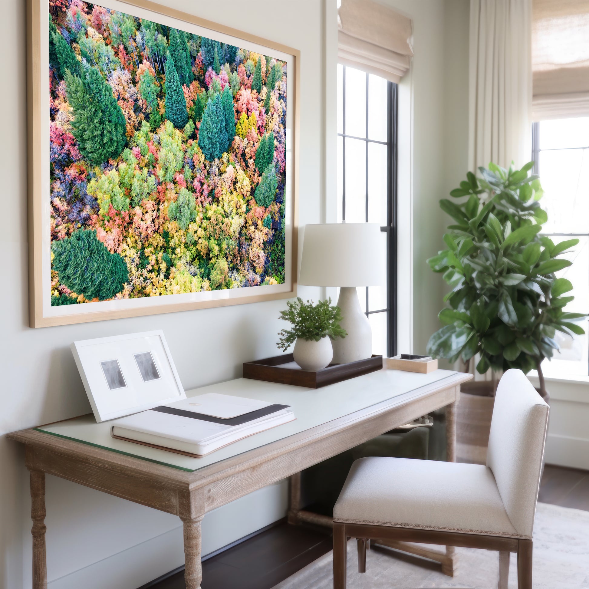 Fall Aerial Pine Tree Print | Autumn Forest Wall Art | 17 Mile