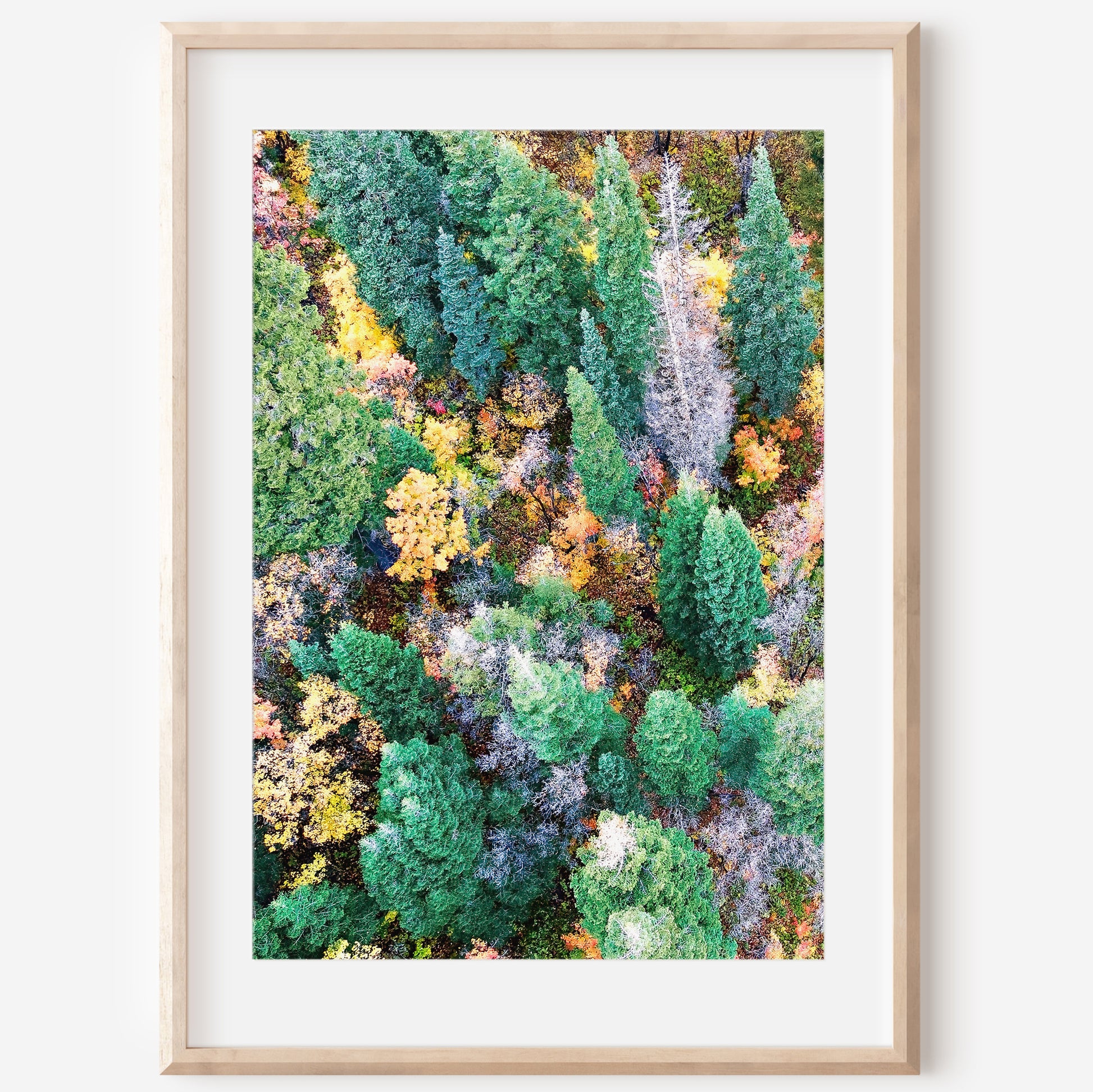 Autumn Forest Aerial Print | Fall Landscape Photography | 17 Mile
