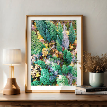 Autumn Forest Aerial Print | Fall Landscape Photography | 17 Mile