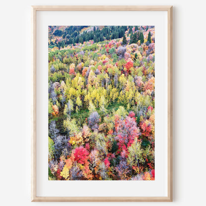 Red Autumn Aerial Mountain Print | Fall Landscape Wall Art | 17 Mile