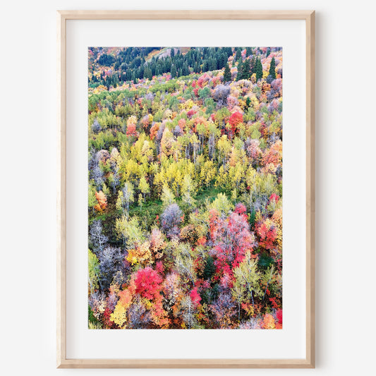 Red Autumn Aerial Mountain Print | Fall Landscape Wall Art | 17 Mile