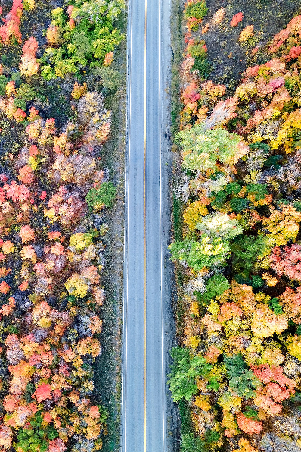 Utah Autumn Aerial Road Print | Fall Mountain Photography | 17 Mile