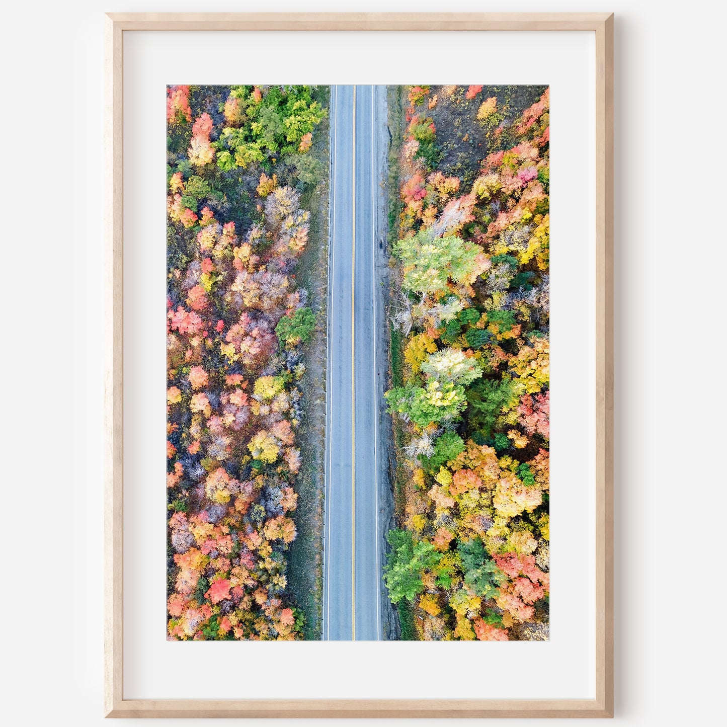 Utah Autumn Aerial Road Print | Fall Mountain Photography | 17 Mile