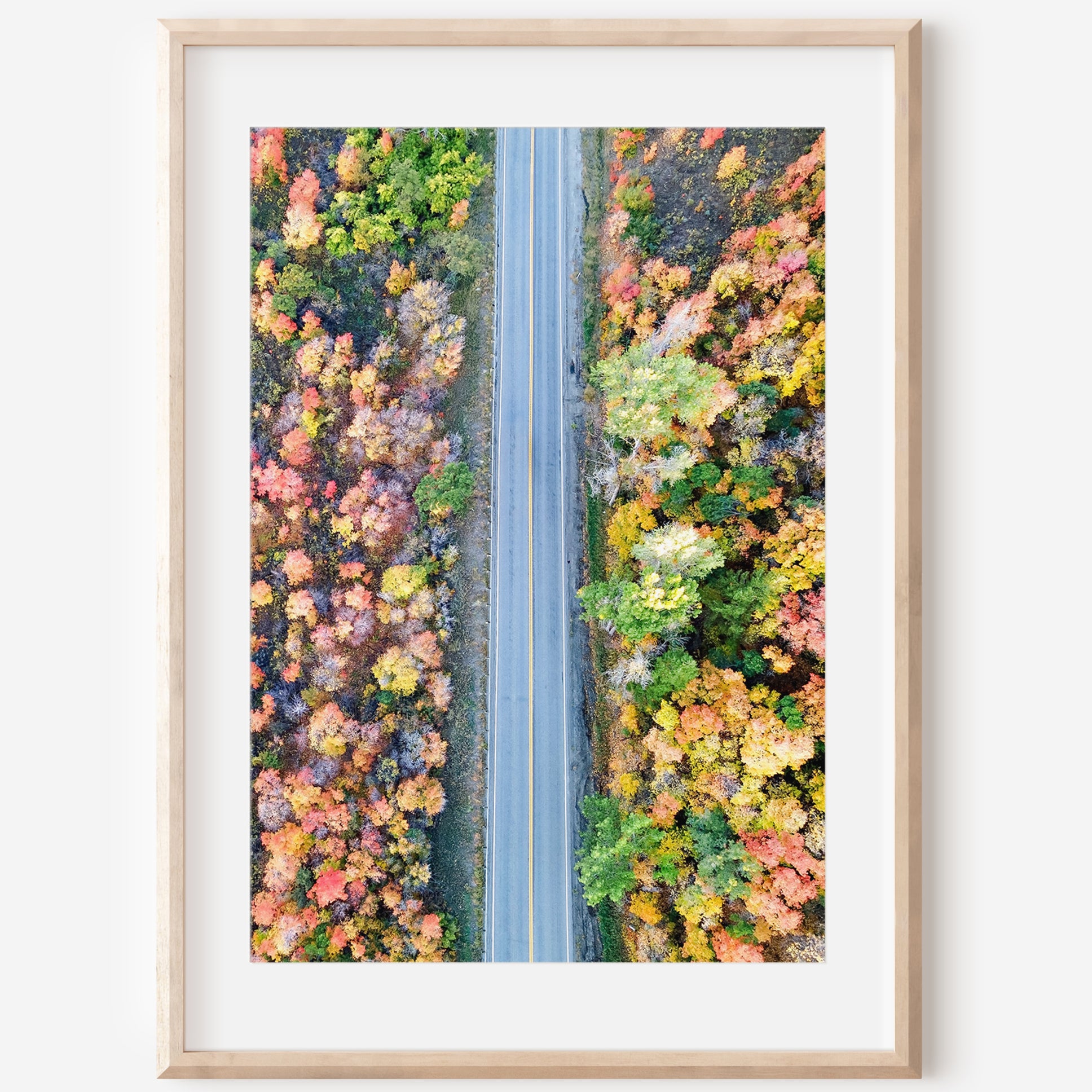 Utah Autumn Aerial Road Print | Fall Mountain Photography | 17 Mile