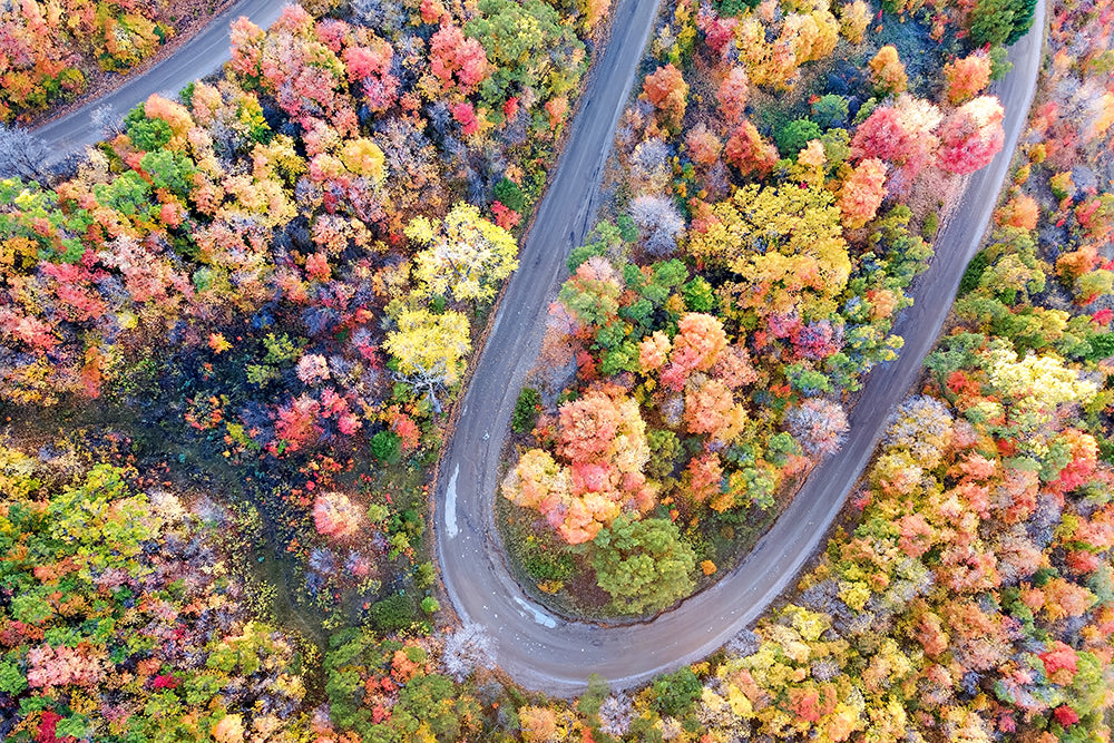 Fall Aerial Winding Road Print | Autumn Landscape Photography | 17 Mile
