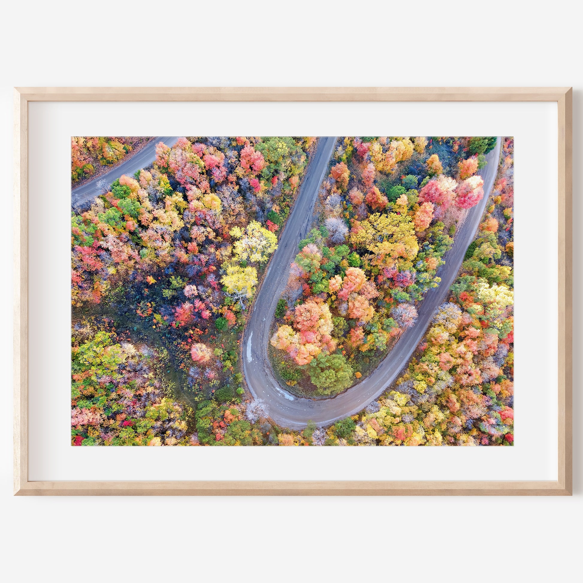 Fall Aerial Winding Road Print | Autumn Landscape Photography | 17 Mile