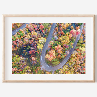 Fall Aerial Winding Road Print | Autumn Landscape Photography | 17 Mile