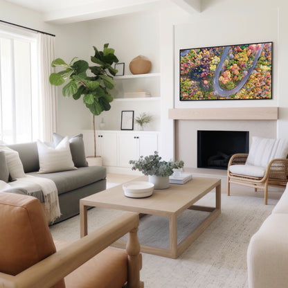 Fall Aerial Winding Road Print | Autumn Landscape Photography | 17 Mile