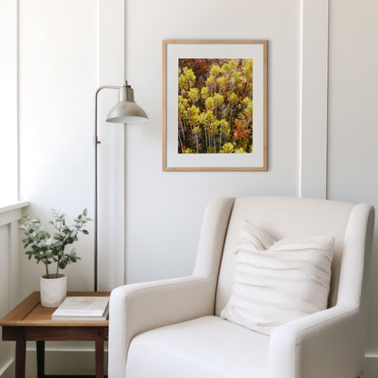 Fall Aspen Trees Aerial Vertical Print | Utah Autumn Photography | 17 Mile