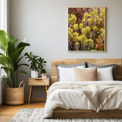Fall Aspen Trees Aerial Vertical Print | Utah Autumn Photography | 17 Mile