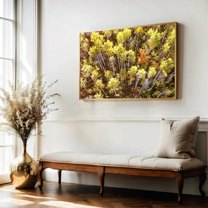 Fall Aspen Trees Aerial Horizontal Print | Utah Autumn Wall Art | 17 Mile