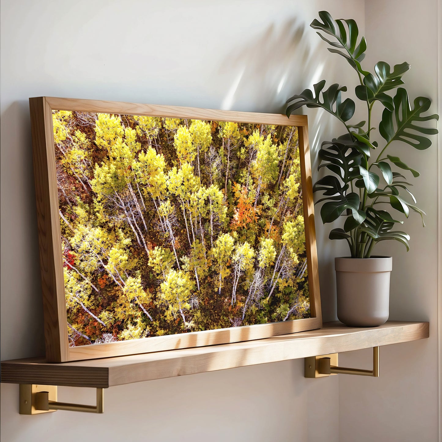 Fall Aspen Trees Aerial Horizontal Print | Utah Autumn Wall Art | 17 Mile
