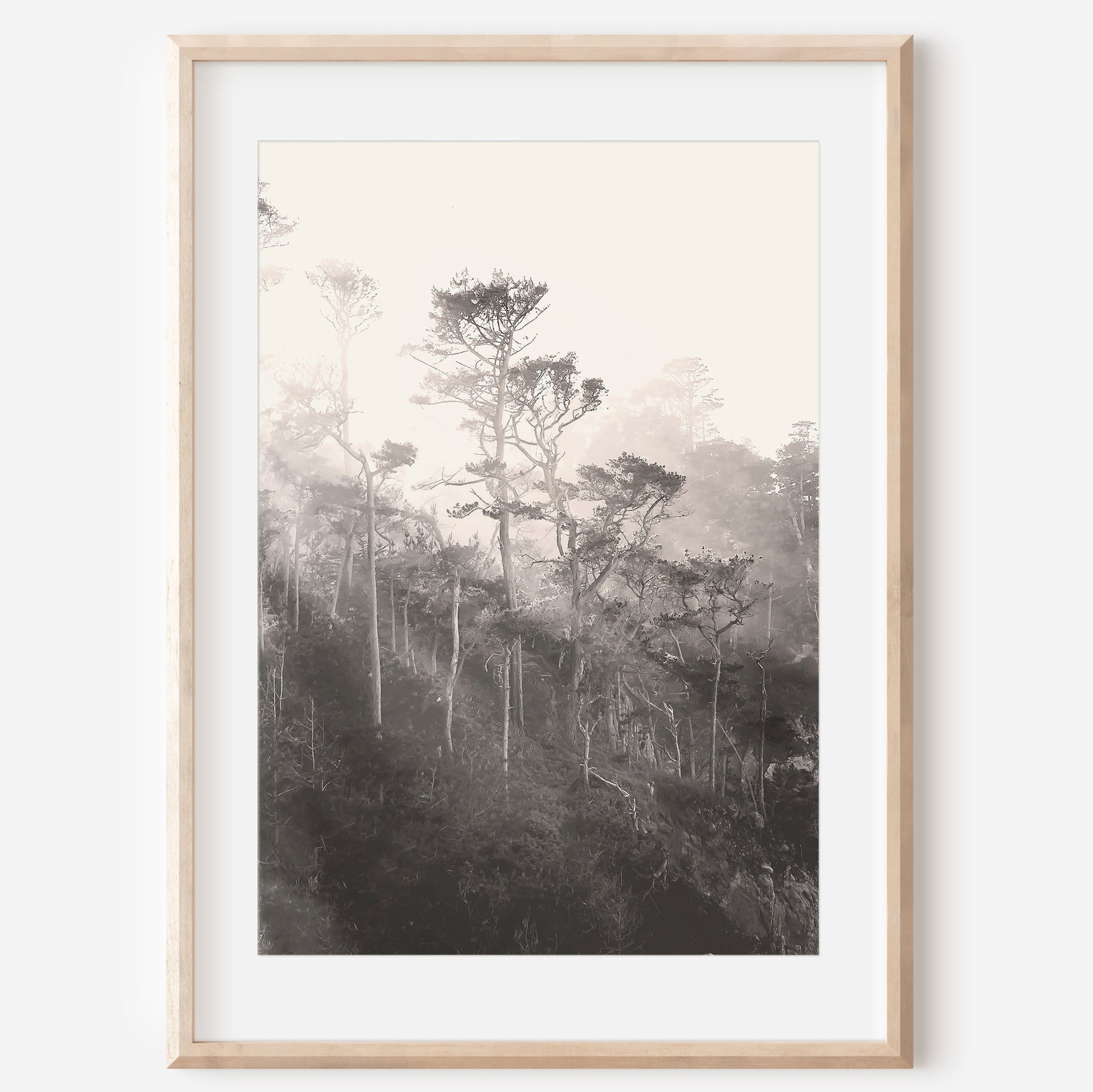 Coastal Trees Canvas | Black and White Canvas | 17 Mile