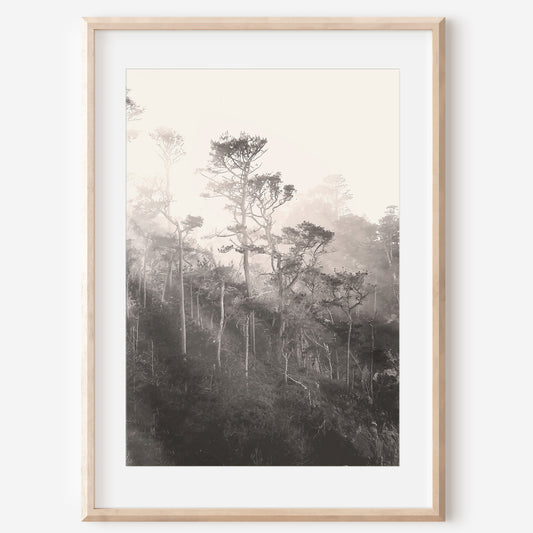 Coastal Trees Canvas | Black and White Canvas | 17 Mile