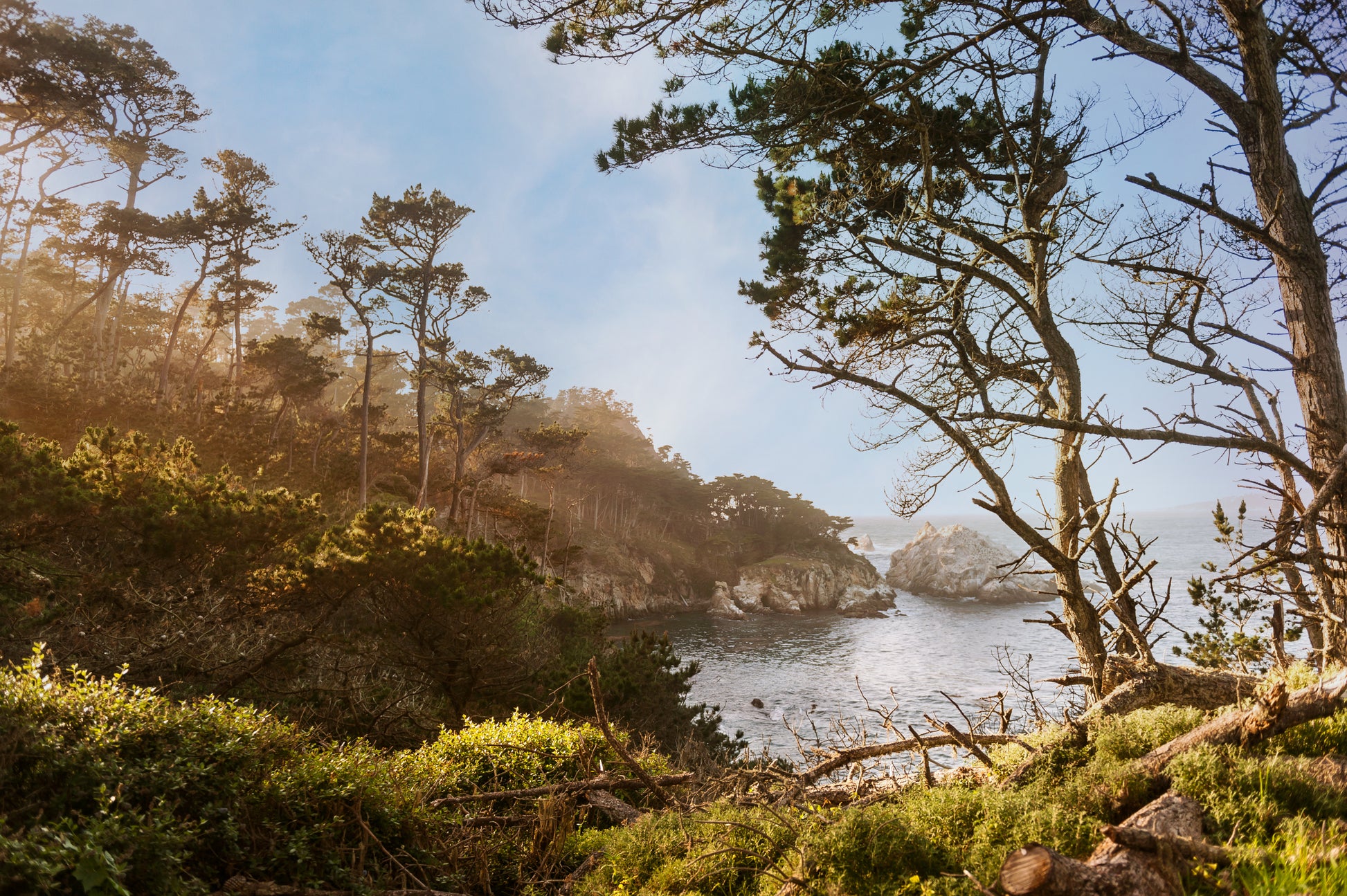 Point Lobos Coast Print | Point Lobos Canvas | 17 Mile