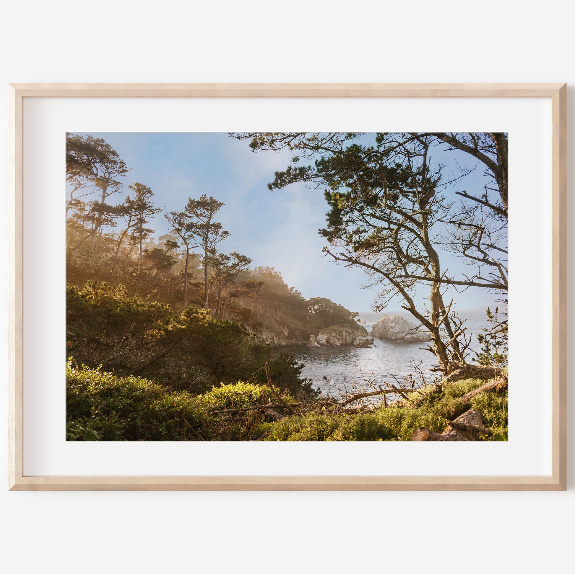 Point Lobos Coast Print | Point Lobos Canvas | 17 Mile
