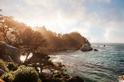 Point Lobos Canvas | California Coastal Print | 17 Mile
