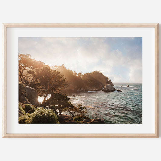 Point Lobos Canvas | California Coastal Print | 17 Mile