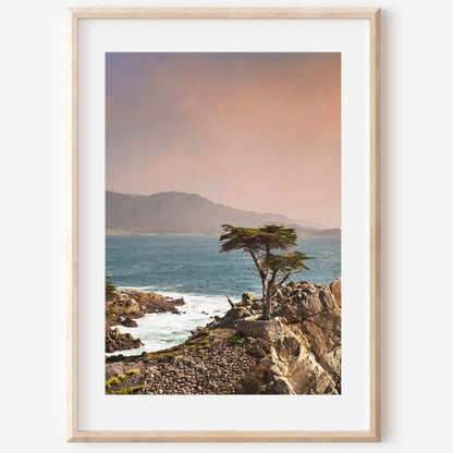 Lone Cypress Canvas | Lone Cypress Print | 17 Mile
