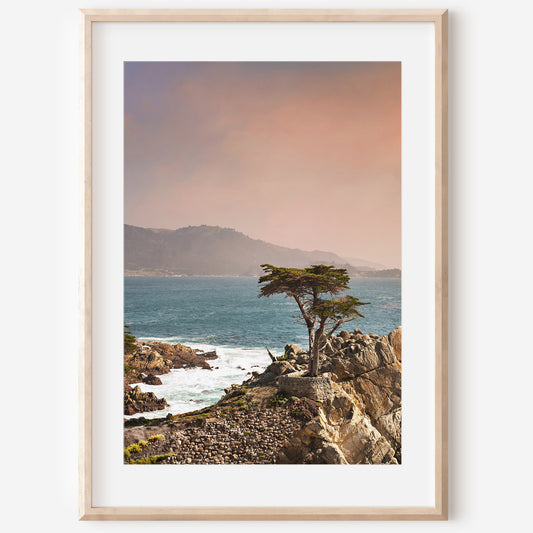 Lone Cypress Canvas | Lone Cypress Print | 17 Mile