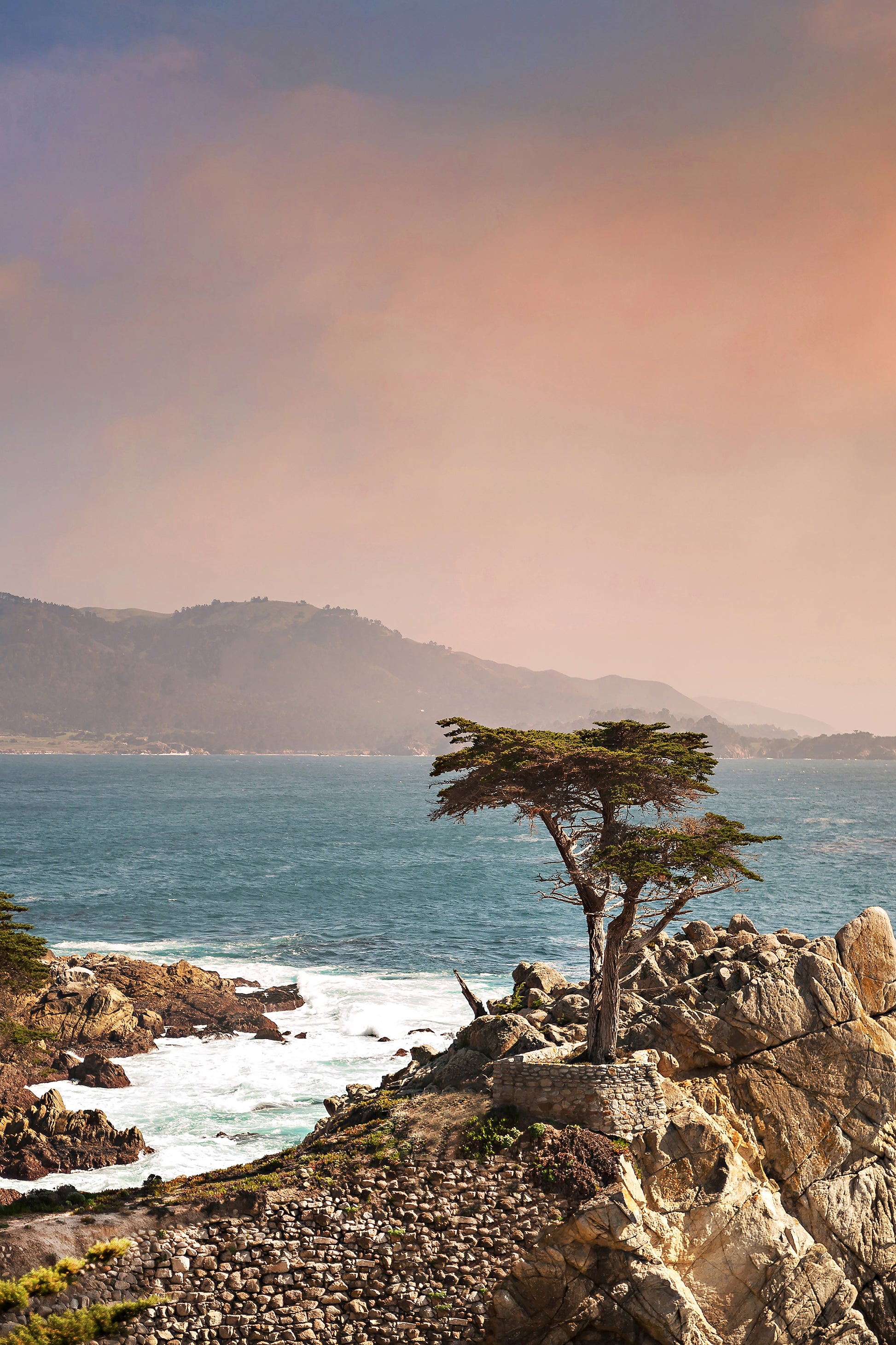 Lone Cypress Canvas | Lone Cypress Print | 17 Mile